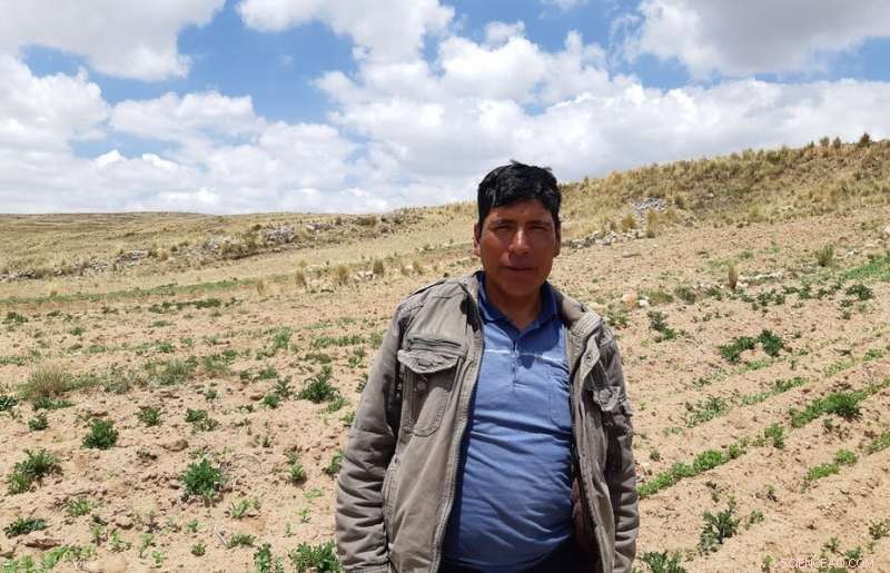 Quinoa: A Beacon of Hope for Andean Communities Amid Global Crisis