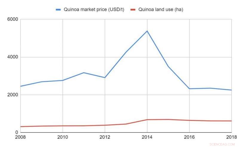 Quinoa: A Beacon of Hope for Andean Communities Amid Global Crisis