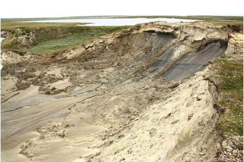 Landslides Significantly Alter Tundra Vegetation Over the Long Term