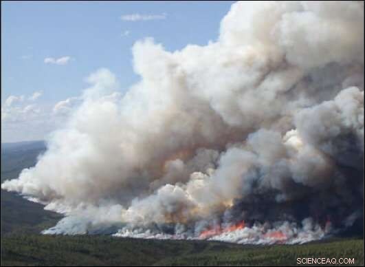 Arctic Fires Evolve: Emerging Risks and Climate Impact