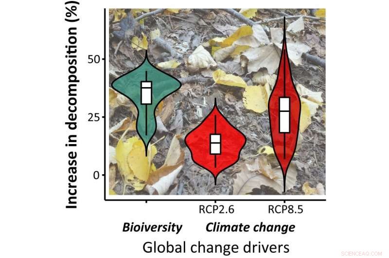 Incorporating Biodiversity and Plant Decomposition Enhances Climate Model Accuracy – New Study