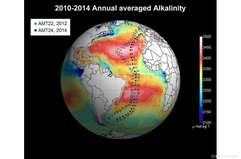 Resilient Sentinels: Marine Species That Survived Earth’s Last Mass Extinction