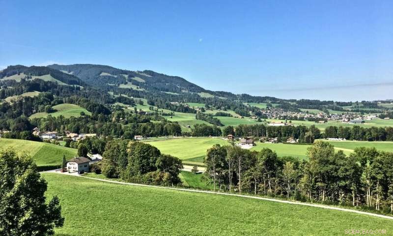 Why Natural Capital Is a Key Missing Piece in Climate Policy