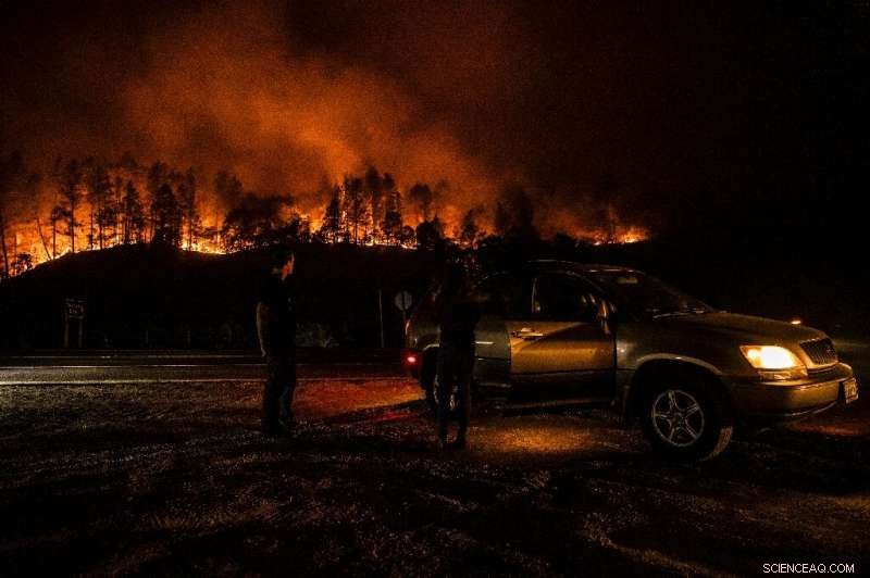 Napa Valley Wildfires Escalate: Residents Evacuated, Region at Risk