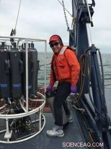 Investigating Future Changes in the Ocean Carbon Cycle: A New Research Initiative