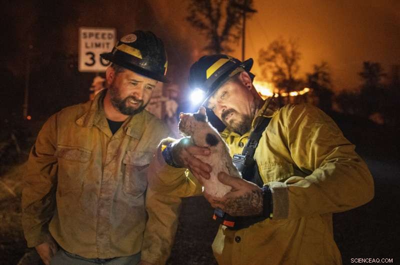 Weakening Winds Provide Critical Relief for Northern California Firefighters