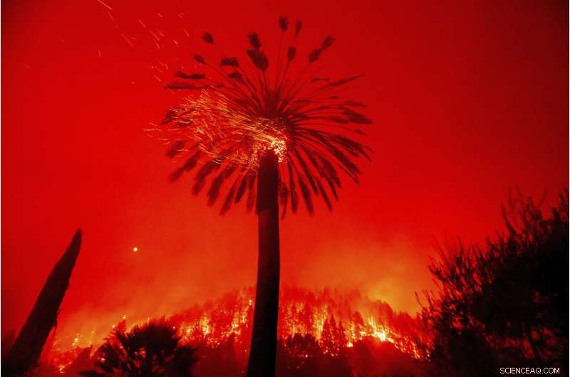 Weakening Winds Provide Critical Relief for Northern California Firefighters