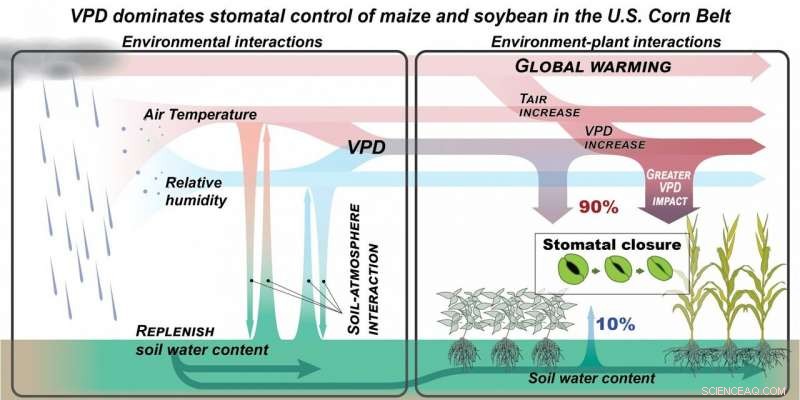 Rethinking Drought in the U.S. Corn Belt: New Findings from Illinois Scientists