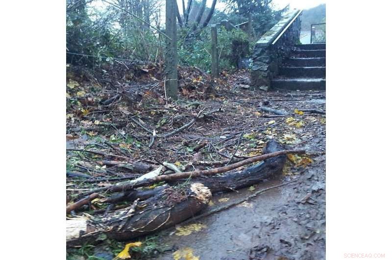 New Upland Woodlands Promise to Reduce Flooding Risk Within 15 Years