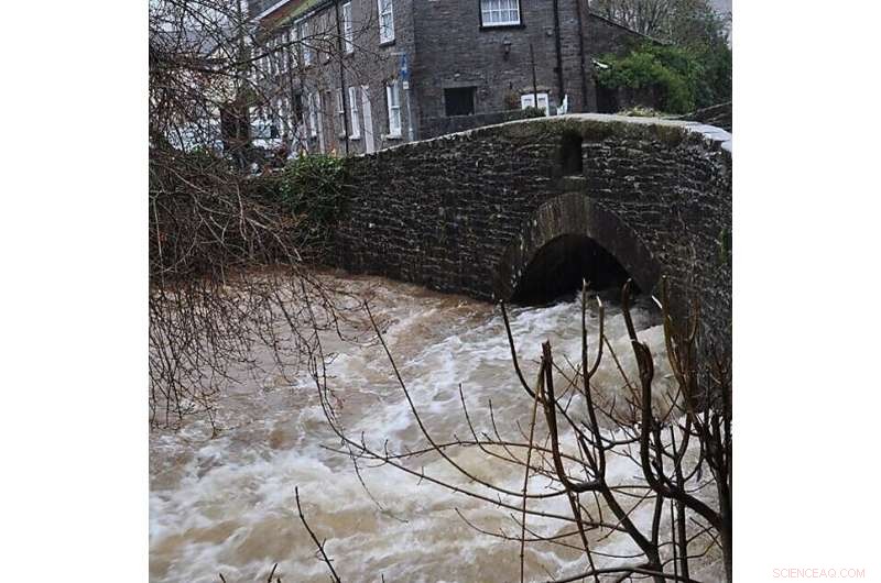 New Upland Woodlands Promise to Reduce Flooding Risk Within 15 Years