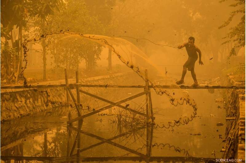 Enforcement Outshines Financial Incentives in Reducing Harmful Peatland Fires, New Study Finds