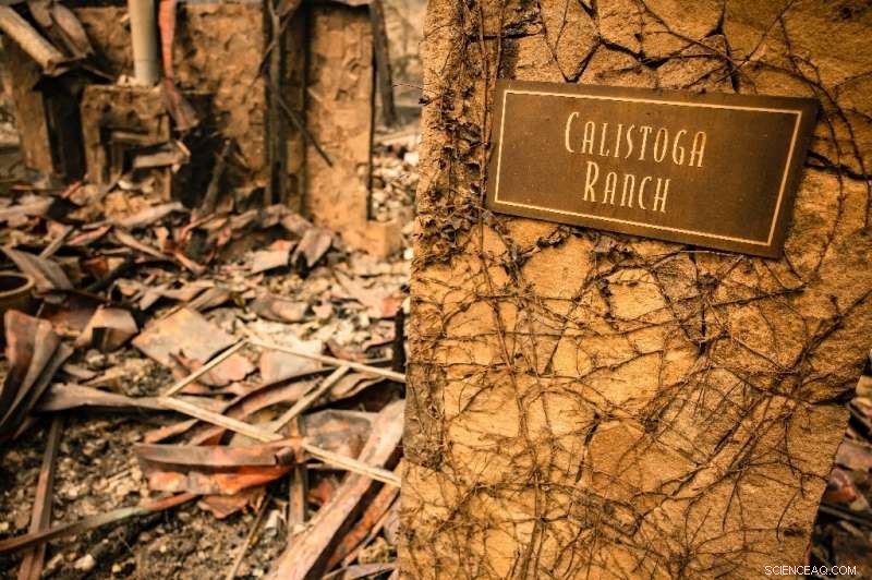 Napa Valley Wildfire Exposes Extent of Damage, Latest Fatality Confirmed