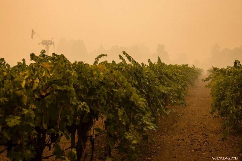 Napa Valley Wildfire Exposes Extent of Damage, Latest Fatality Confirmed