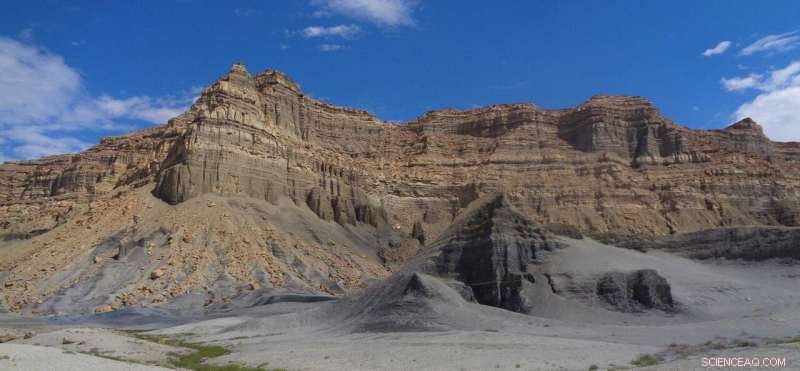 Future Threat: Climate Change Could Ignite Even Wet Forests