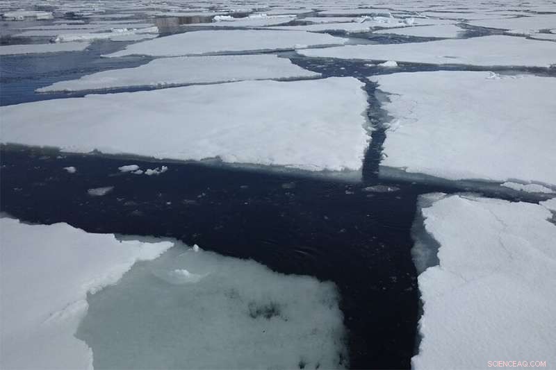 New Research Suggests Antarctic Sea Ice Less Effective at Containing Ocean Carbon