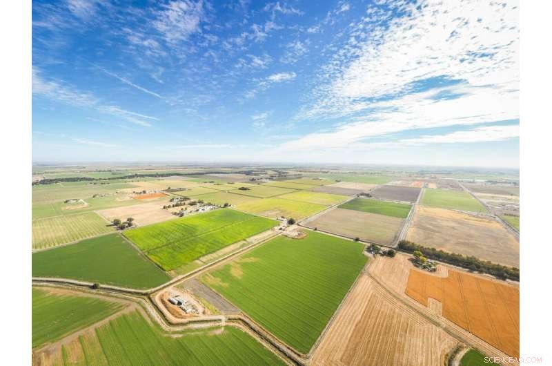 Scientists Use Satellite Imaging to Map Groundwater Use in California s Central Valley