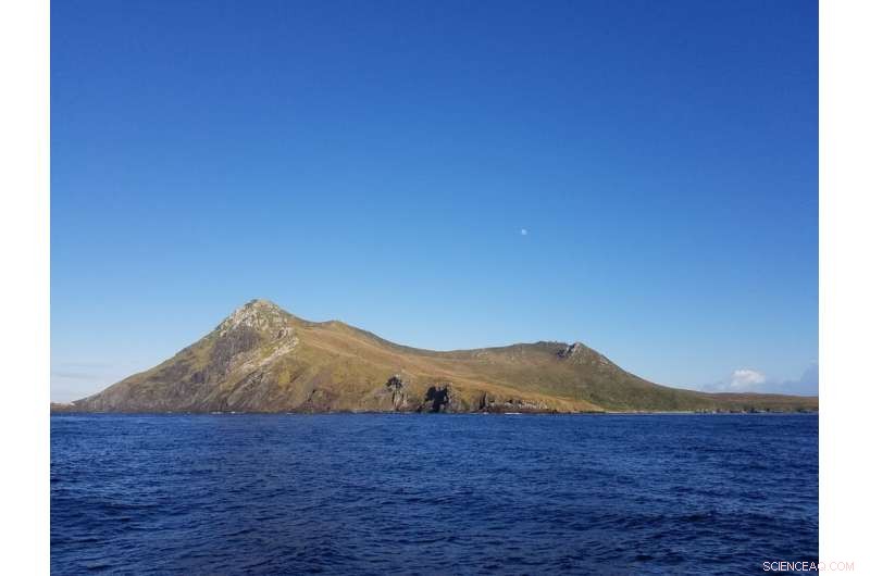 Southernmost Tree Thrives Amid Earth s Fiercest Winds as Climate Change Shifts Their Path