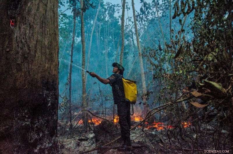 Brazil s Amazon Faces Wildfire Surge, Scientists Warn
