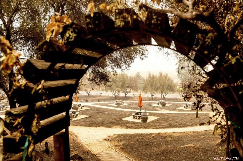 California Reaches 4-Million-Acre Wildfire Burn Milestone This Year