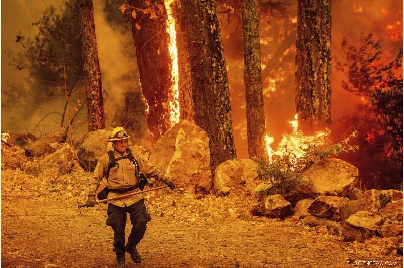 California Reaches 4-Million-Acre Wildfire Burn Milestone This Year