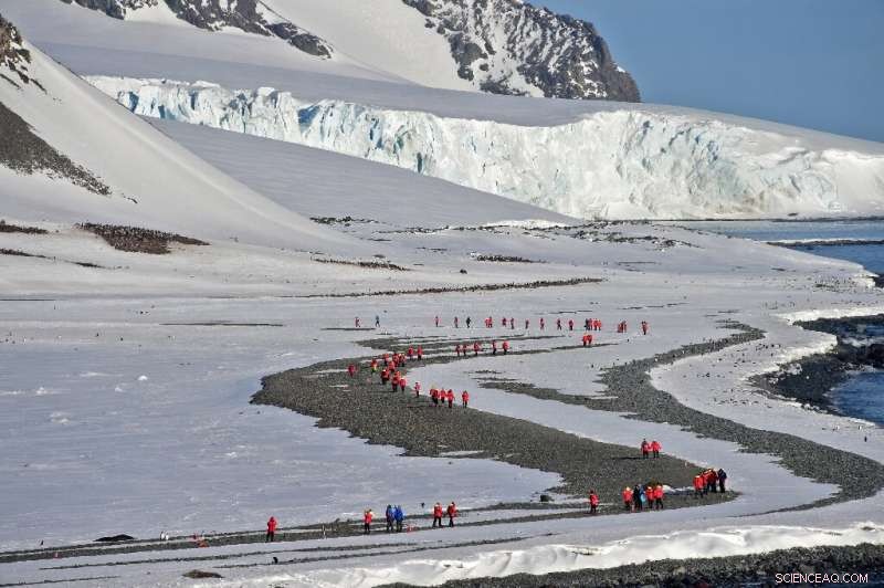 Study Reveals Antarctic Peninsula Reaches Warmest Temperatures in 30 Years