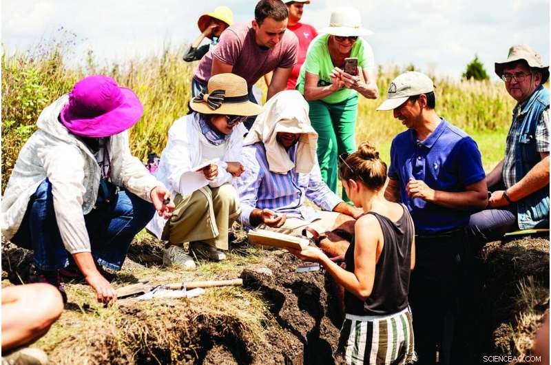 RUDN University Soil Scientists Report on Urban Soil Conditions Across Five Climatic Zones