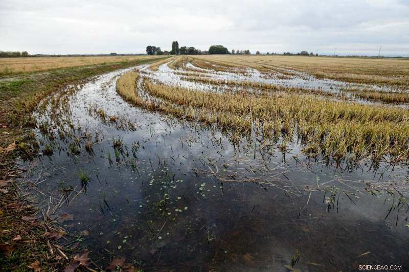 Severe Storms Flood Italy’s Golden Triangle Rice Fields