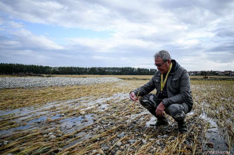 Severe Storms Flood Italy’s Golden Triangle Rice Fields