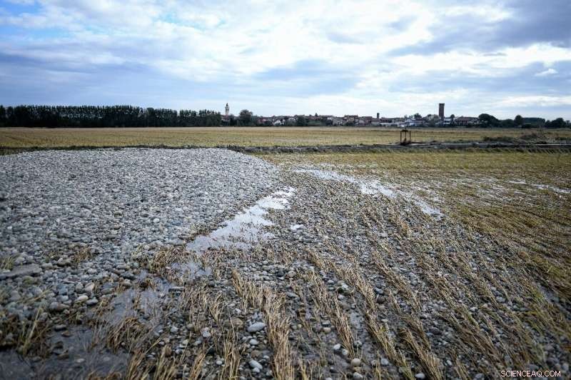 Severe Storms Flood Italy’s Golden Triangle Rice Fields