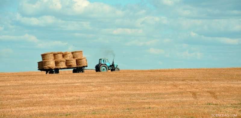 Why Restoring Nature Is Our Era s Most Crucial Mission