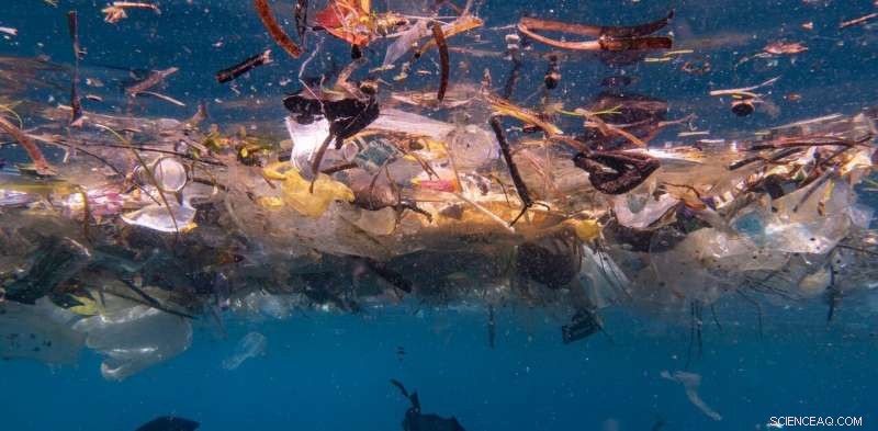 14 Million Tonnes of Microplastics on the Seafloor – The Pollution Crisis Is Worse Than Expected