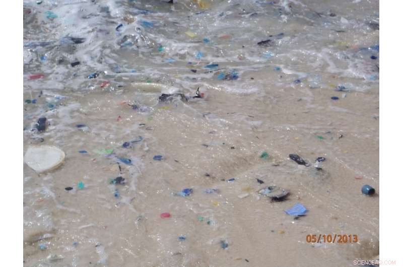 14 Million Tonnes of Microplastics on the Seafloor – The Pollution Crisis Is Worse Than Expected