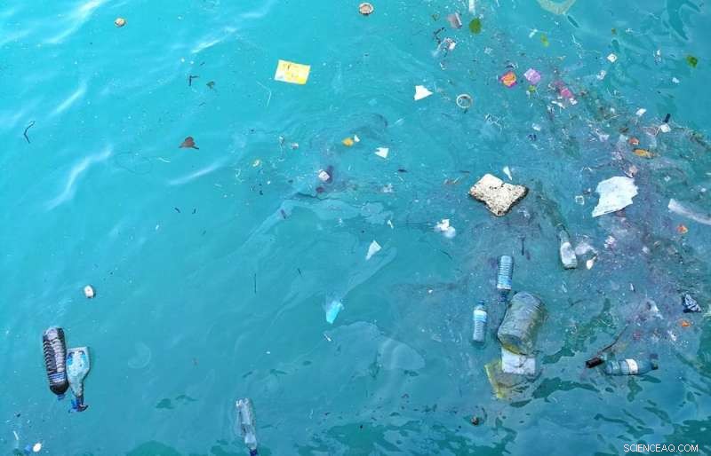 14 Million Tonnes of Microplastics on the Seafloor – The Pollution Crisis Is Worse Than Expected