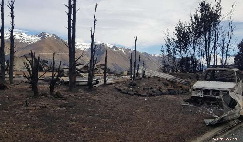 New Zealand Firefighters Contain Devastating Alpine Forest Fire