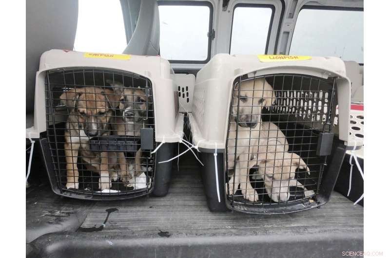 Louisiana Prepares for Sixth Hurricane as 2020 Season Intensifies