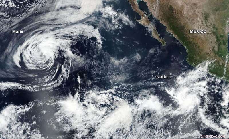 NASA Satellites Track Tropical Storm Norbert’s Formation While Storm Marie Weakens