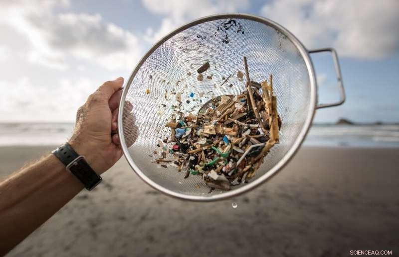 Australian Study Reveals 14 Million Tonnes of Microplastics on the Seafloor