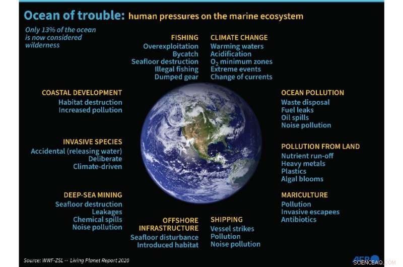 Australian Study Reveals 14 Million Tonnes of Microplastics on the Seafloor