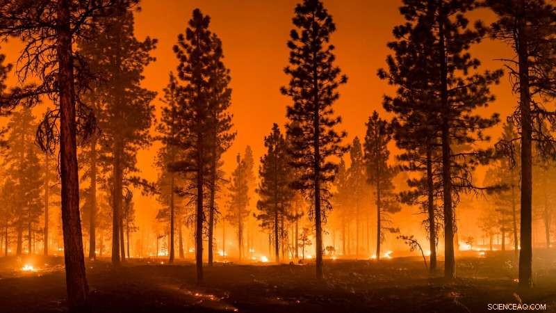 Lab Launches Groundbreaking Long‑Term Wildfire Forecasting Model