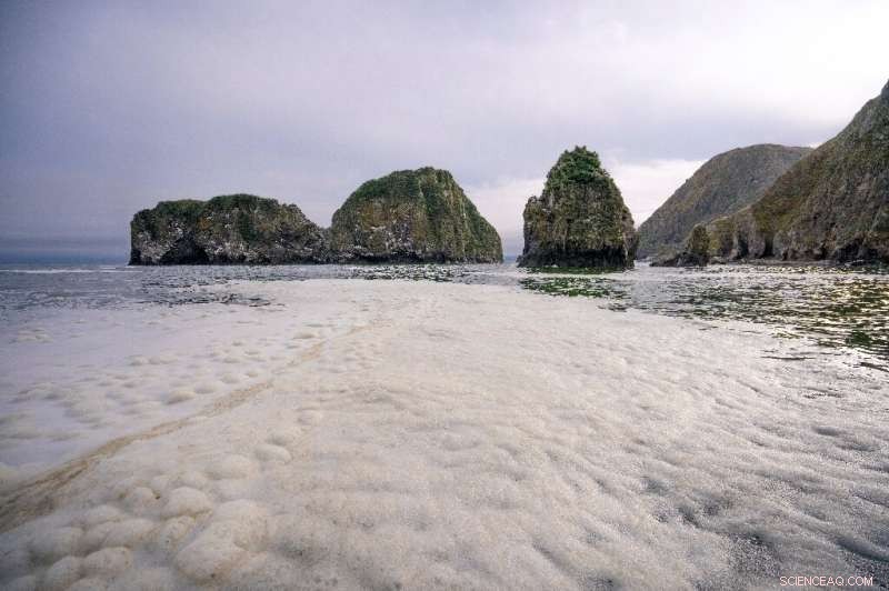 Massive Toxic Waste Slick Disrupts Russian Sea: Environmental Crisis Off Kamchatka