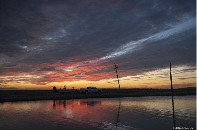 Louisiana Prepares for Hurricane Delta: Expert Analysis & Community Readiness