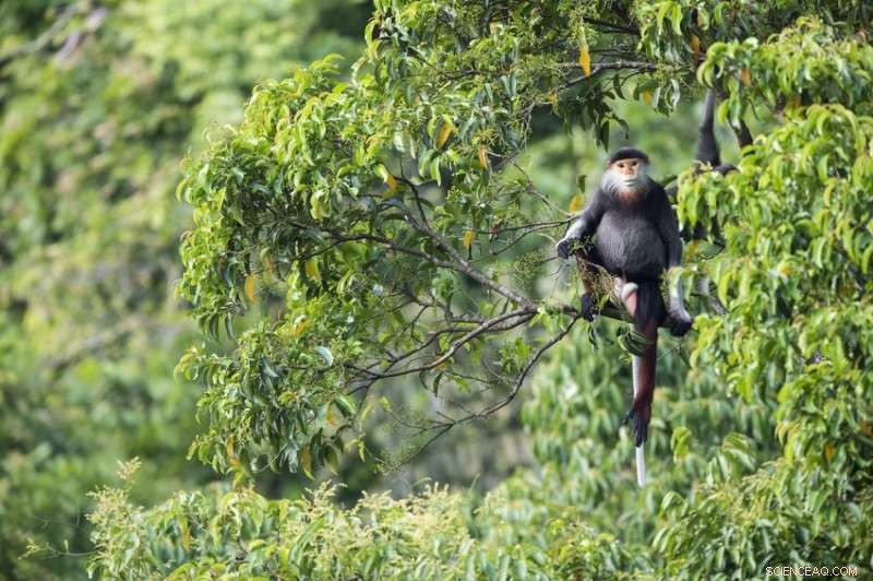 University Research Drives Creation of Vietnam’s New Nature Reserve