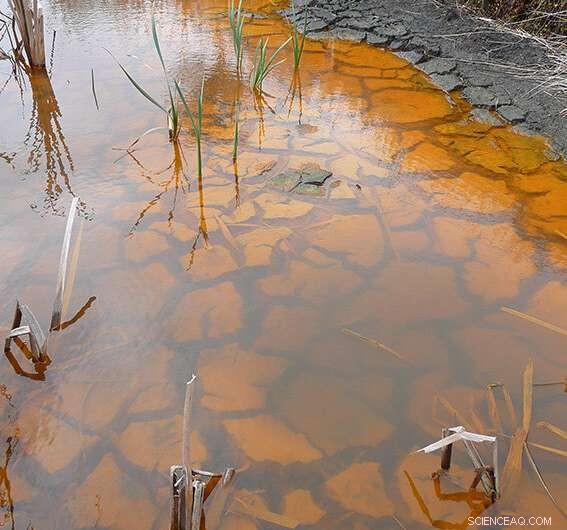 Global Wetlands Under Siege: How Drought Threatens Ecosystems