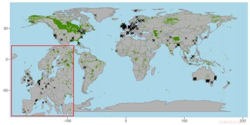 Global Wetlands Under Siege: How Drought Threatens Ecosystems