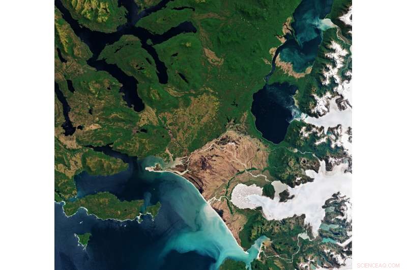 Stunning Satellite View of Laguna San Rafael National Park, Chile