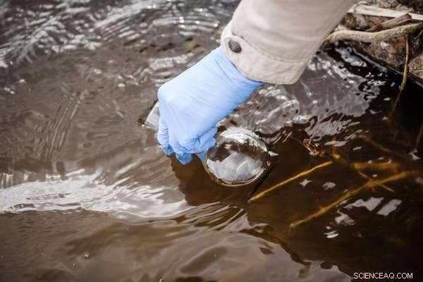 Long‑Banned Chemicals Still Threaten UK Rivers, Endangering Wildlife