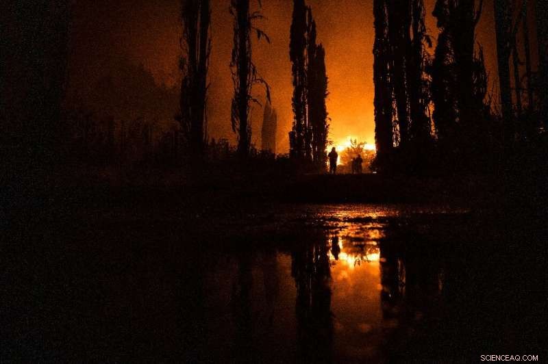 TED Global Climate Call: Celebrities Urge Urgent Action