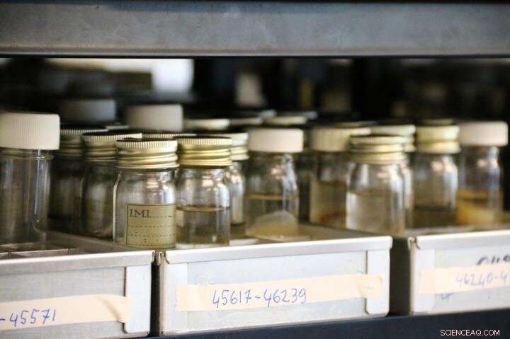 Safeguarding UK Soil Microbiome Biodiversity to Secure Agricultural Resilience