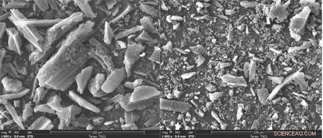 KIST Researchers Tackle Algal Bloom in Conventional Water Treatment Facilities