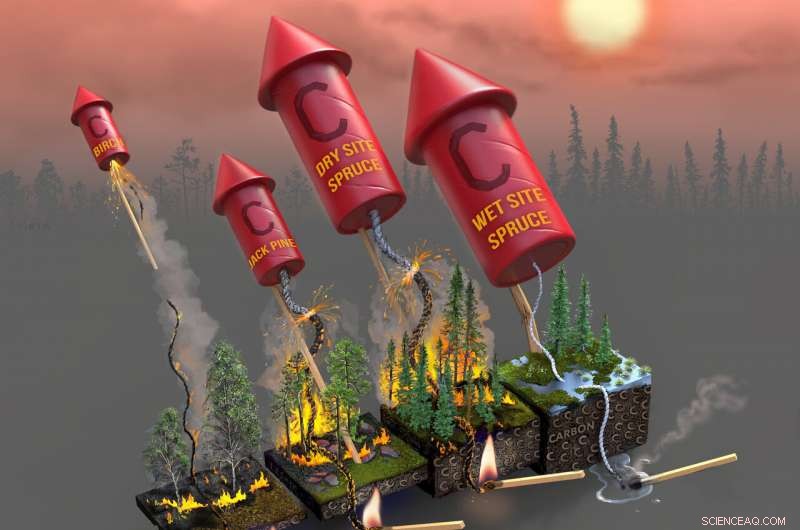 Fuel Loads, Not Fire Weather, Drive Carbon Emissions in Boreal Forests